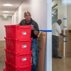 Bild von Move Solutions Ltd - Austin