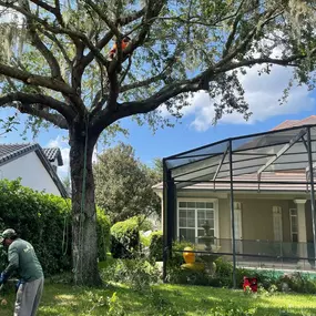 Bild von Tree Amigos Orlando