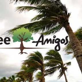 Bild von Tree Amigos Orlando