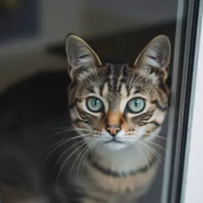 Bild von Kiefer & Co. GmbH