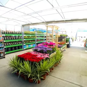 Bild von B&M Store with Garden Centre