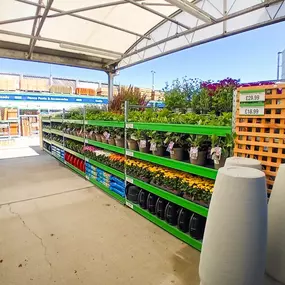 Bild von B&M Store with Garden Centre