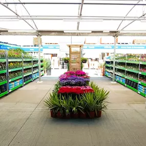 Bild von B&M Store with Garden Centre