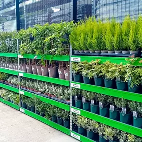 Bild von B&M Store with Garden Centre