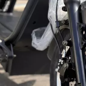 Bild von Bull-Bikes Bodensee