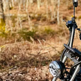 Bild von Bull-Bikes Bodensee
