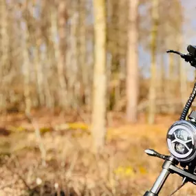 Bild von Bull-Bikes Bodensee