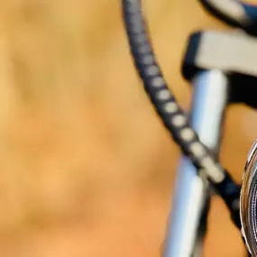 Bild von Bull-Bikes Bodensee