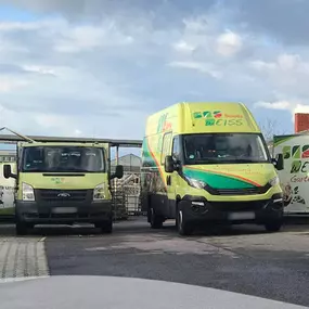 Bild von Blumen Weiss Malsch