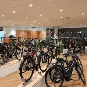 Bild von Maik's bikes Inh.Michael Domke