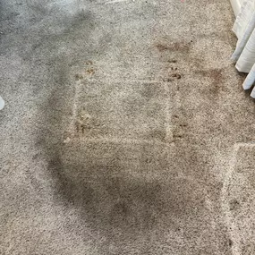 Bild von Tower's Restoration & Cleaning LLC