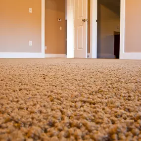 Bild von Tower's Restoration & Cleaning LLC