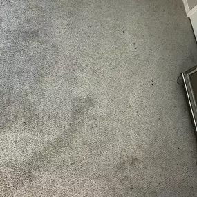 Bild von Tower's Restoration & Cleaning LLC