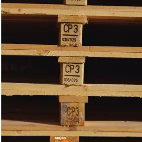 200757037-1-nJpQPLW9ou1747980315499.png