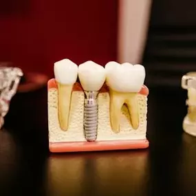 Bild von Modest Dentistry