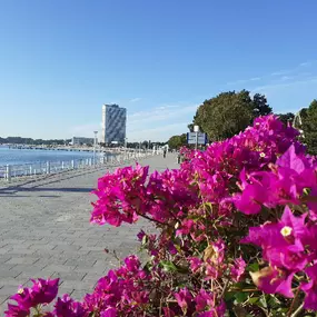 Bild von FeWo Baum / www.fewo-ostsee-travemuende.com