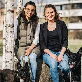 Bild von FITBUDDYS Tierheilpraxis & BARF-Shop