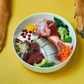 Bild von FITBUDDYS Tierheilpraxis & BARF-Shop