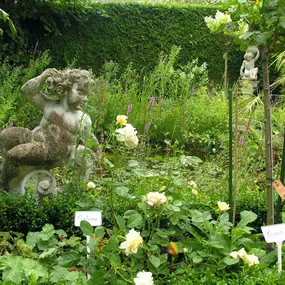 Bild von Bed and Breakfast 