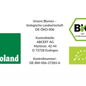 Bild von Floralita