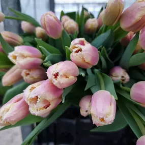 Bild von Floralita