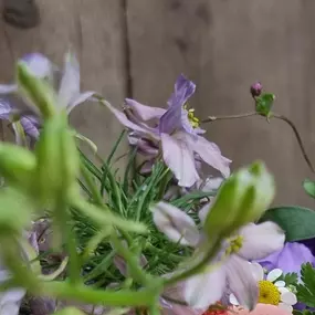 Bild von Floralita