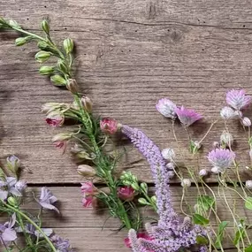 Bild von Floralita