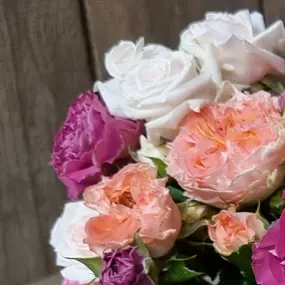 Bild von Floralita
