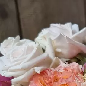 Bild von Floralita