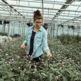 Bild von Floralita