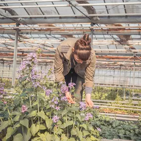Bild von Floralita
