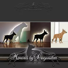 Bild von Erinnerungsschmiede - Memories by Dragonsilver