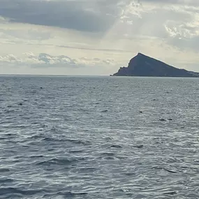 Bild von La Marina Chárter Náutico
