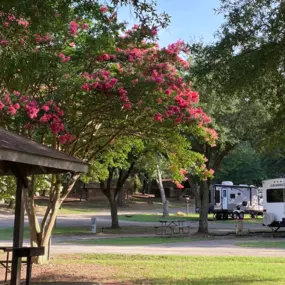 Birmingham South RV Park in Pelham, Alabama