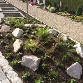 Bild von Blumen Weiss