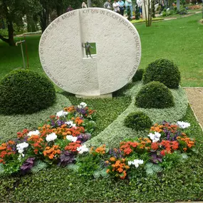 Bild von Blumen Weiss