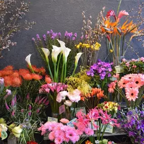 Frische Blumen - Blütenpracht - Blumengeschäft - Hamburg