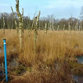 Moor- und Klimaschutz