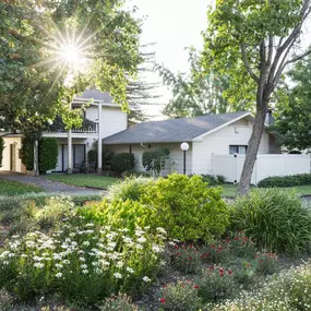 Mansion Estate Suites