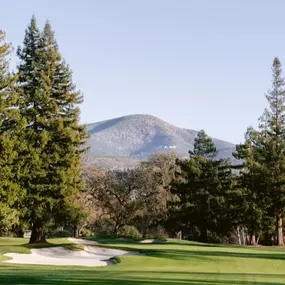 Immerse yourself in world-class play at Silverado Resort’s South and North Courses—where vineyard views and heritage oaks create a one-of-a-kind Napa golf resort experience.