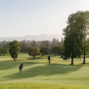 Plan your Napa Valley golf getaway at Silverado Resort, where lush, tree-lined fairways and luxury amenities set the stage for an unforgettable round in wine country.
