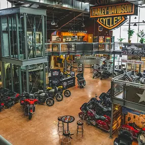 Bild von Teddy Morse's Cowboy Harley-Davidson Alamo City