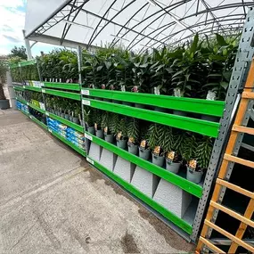 Bild von B&M Store with Garden Centre