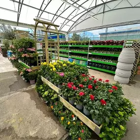 Bild von B&M Store with Garden Centre