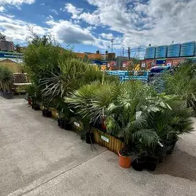 Bild von B&M Store with Garden Centre