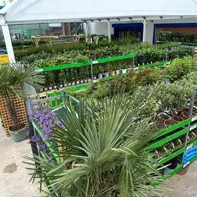 Bild von B&M Store with Garden Centre