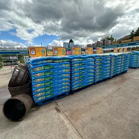 Bild von B&M Store with Garden Centre