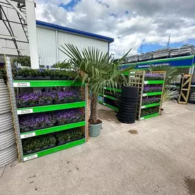 Bild von B&M Store with Garden Centre