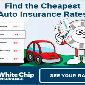 Find the cheapest auto insurance rates in Florida