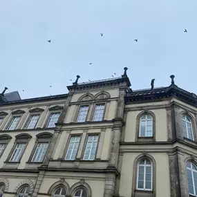 Dachrinnenabdichtung - Museum für Kunst und Gewerbe | Meister im Seil GmbH - Industriekletterer Hamburg